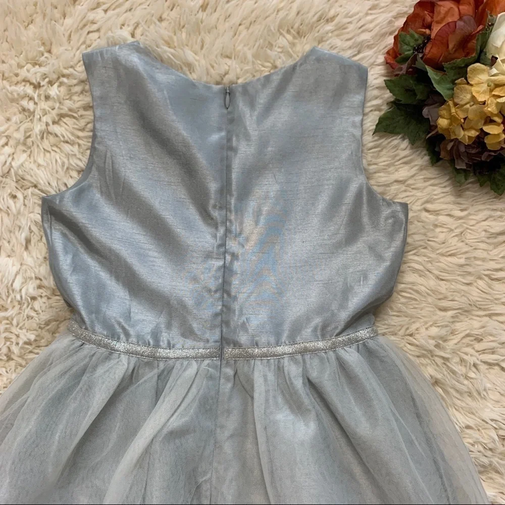 Gymboree Gray Sparkly Taffeta Tulle Formal Dress